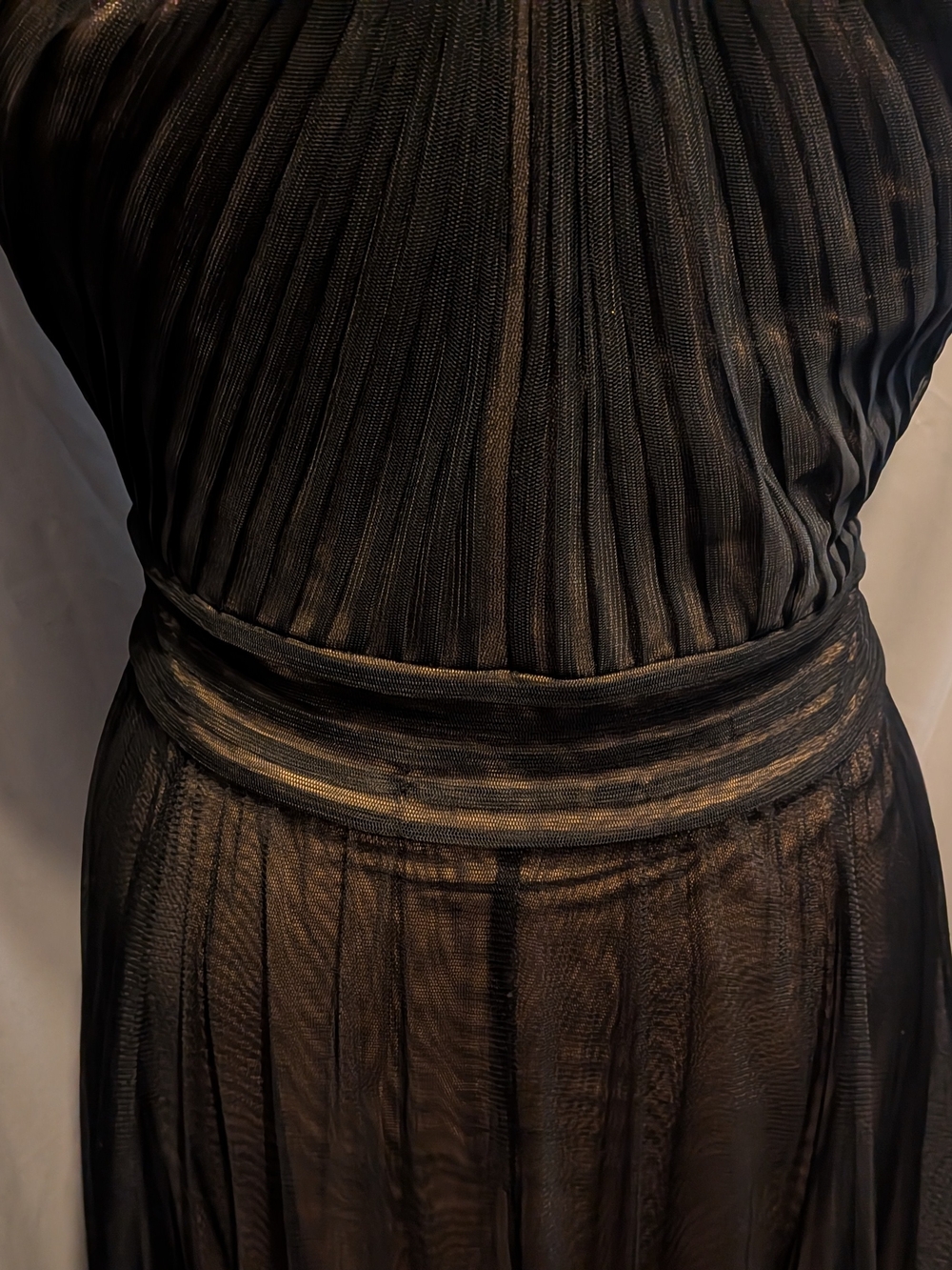 Tadashi Shoji Black Pleated Sheer Maxi Dress Size 4 - Picture 5 of 12
